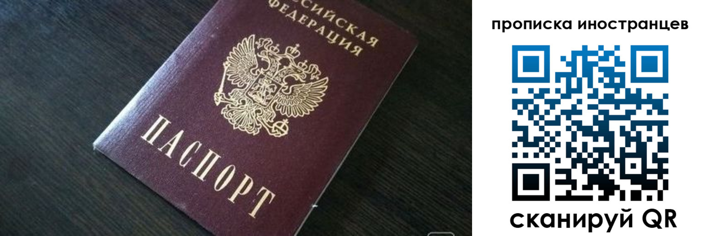 прописка 2025 в Камышине